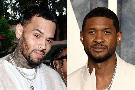 Chris Brown and Crew Fight Usher at Birthday Party - Report - XXL