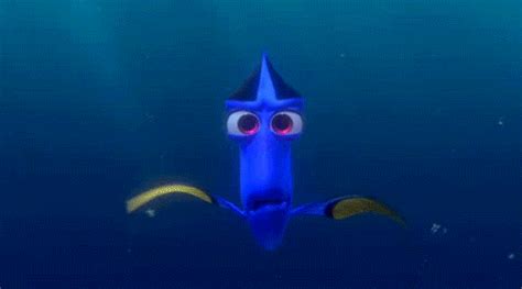 Finding Nemo Fish GIF - Find & Share on GIPHY