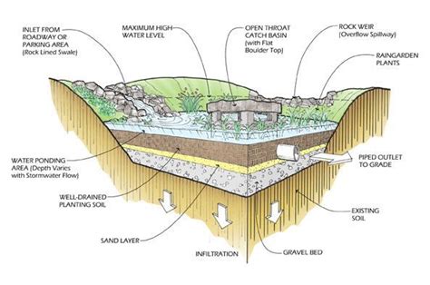 Stormwater, Rain garden design, Rain garden