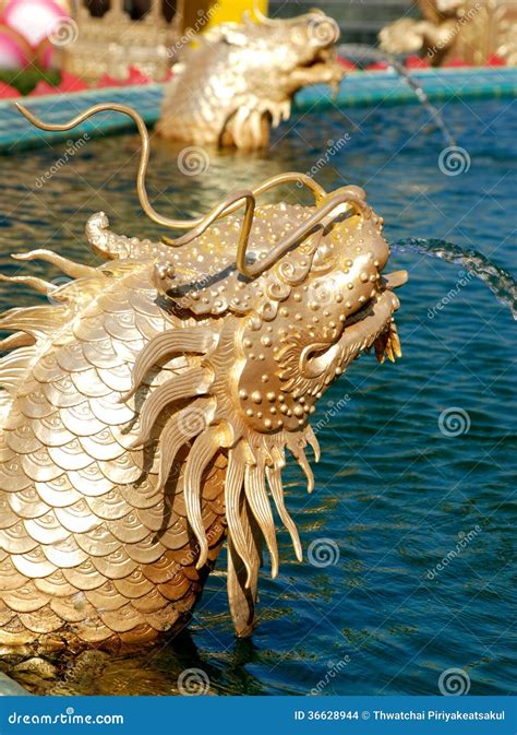 Sea Dragon stock photo. Image of impress, exotic, identity - 36628944