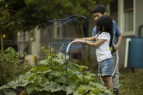 Key Rules for Kitchen Gardening: How to Start from Scratch, Plan, the Principles, Ideas, and Tips