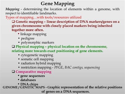 What Does A Gene Map Show