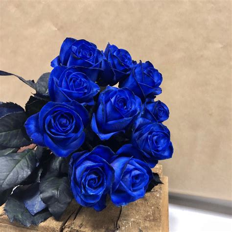 10 Blue Roses | Ten Real Blue Roses | Send 10 Blue Roses