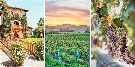 Easy Napa Wine Tour from San Francisco - Best Wineries & Tastings