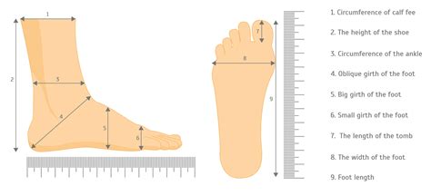 Best Way to Measure Your Feet