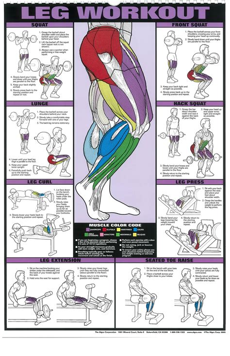 The Absolute Beginner's Guide to Exercise | Workout posters, Leg ...