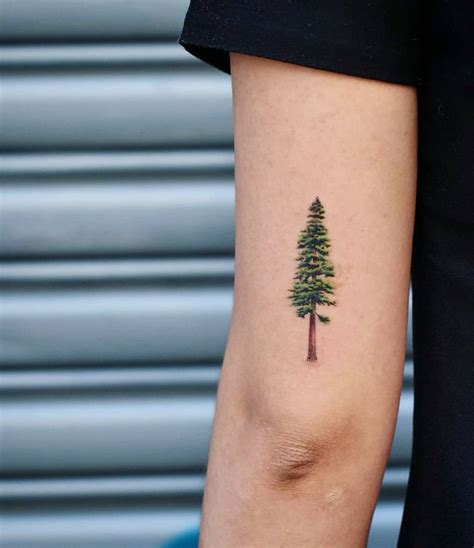 Pine tree tattoo by Dragon Ink - Tattoogrid.net