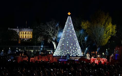 10 Fun Facts About the National Christmas Tree - Parade