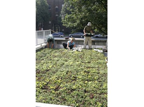 London City Hall, Ontario - Greenroofs.com