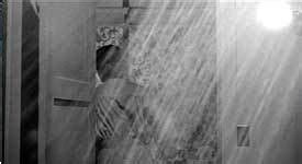 Psycho (1960) shower scene - Horror Movies Image (6594662) - Fanpop