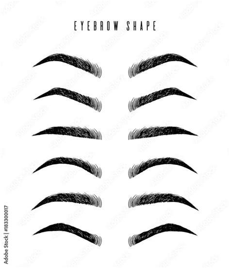 Download Eyebrow shapes. Various types of eyebrows. Classic type and ...