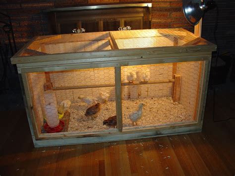 My New Chick Brooder Coop | Pignchicken.com