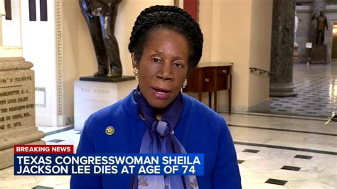 Longtime Texas Congresswoman Sheila Jackson Lee, mother of Chicago ...