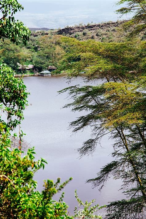 Wildlife Walk at Crater Lake | As Her World Turns