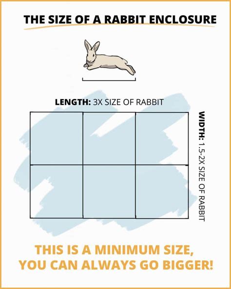 Rabbit Hutch/cage Size Guide Minimum Requirements | vlr.eng.br