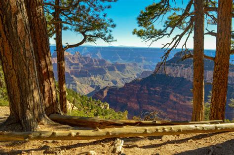 Hiking in the Grand Canyon's North Rim: Transept Trail - Traveling GypsyRN