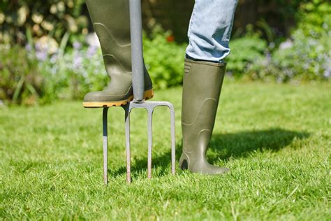 Aerate Lawn: How to Aerate Your Lawn | ALC Turf Tips