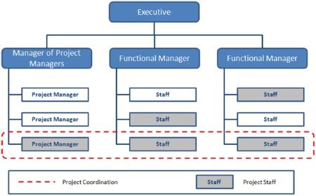 Organizational Structure Types for Project Managers