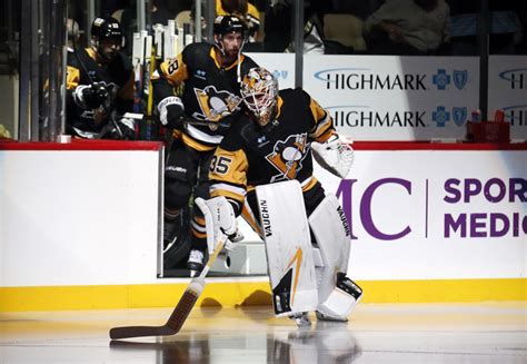 Pittsburgh Penguins Goalie Looks Healthy and Ready for New Challenge ...