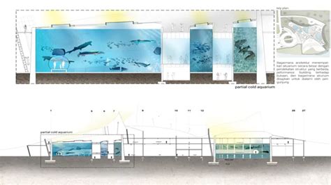 How to Build an Aquarium PDF: Quick and Easy Guide for Novice Aquarists