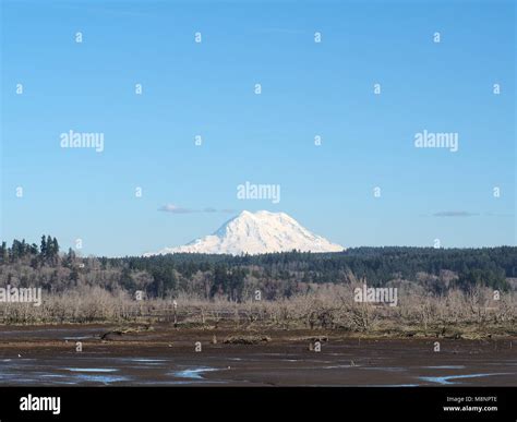 Nisqually national wildlife refuge hi-res stock photography and images ...