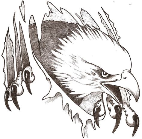 Native American Eagle Feather Drawings N2 free image download