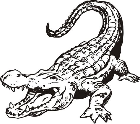 Free Printable Alligator Coloring Pages For Kids