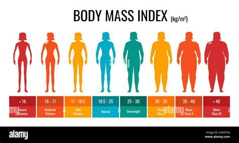 Bmi Classification Chart Measurement Woman Set Female Body Mass Index ...