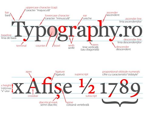 Typeface anatomy - namecollective