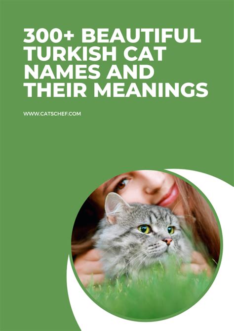 300+ Beautiful Turkish Cat Names And Their Meanings