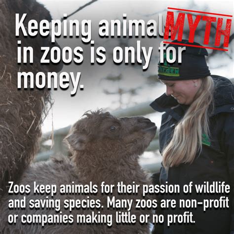 Zoo and Animal Facts — 6 zoo myths that arent true