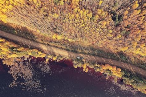 Premium Photo | Landscape top view, river autumn forest drone, beautiful journey