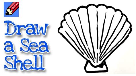 How to draw a Sea Shell Real Easy - for kids and beginners - YouTube