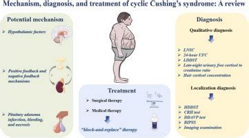 Cushing’s syndrome: causes, varieties, medical prognosis and administration | OnlineCollegesClub.com