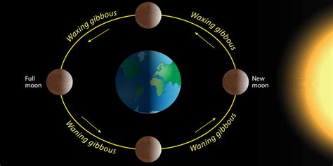 First Quarter Moon Phase Diagram