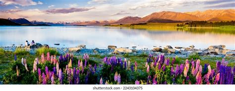 3,591 Lake Tekapo Sunset Images, Stock Photos & Vectors | Shutterstock