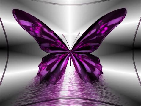 Beautiful Butterflies - Butterflies Wallpaper (9481772) - Fanpop