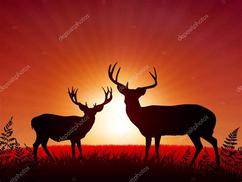 Deer on Sunset Background — Stock Vector © iconspro #6029893