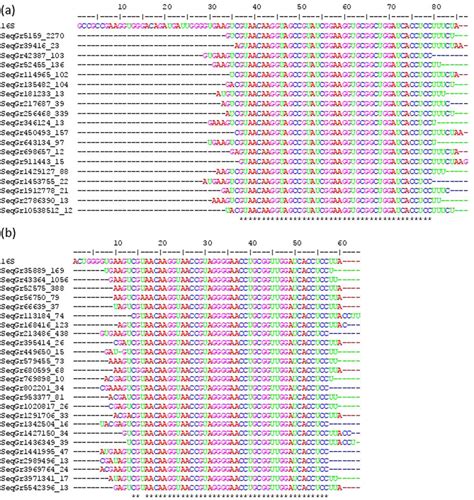 Multiple sequence alignment of reads in FASTA+ format (with sequence ID... | Download Scientific ...