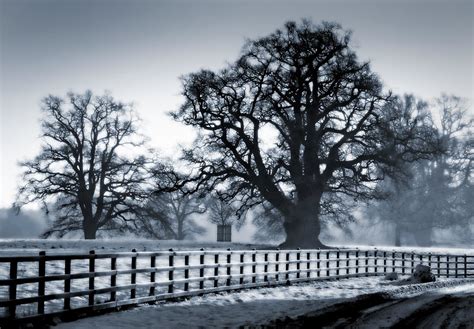 UK - Oxon - Eynsham Hall - blue | Taken in the grounds of Ey… | Flickr