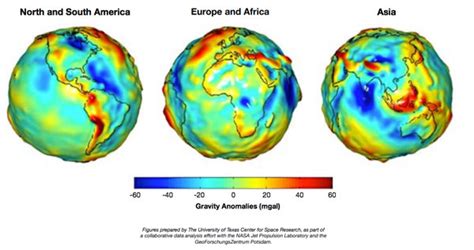 Earth's Gravitational Field | Carolina.com