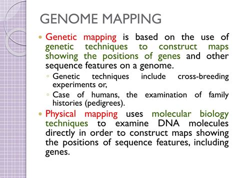 PPT - GENOME MAPPING PowerPoint Presentation, free download - ID:5876156