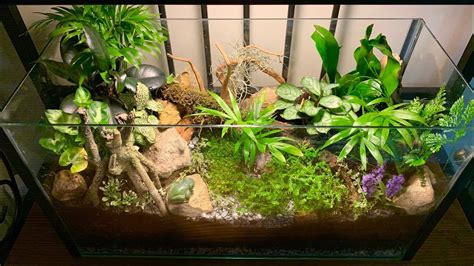 Turn an aquarium into a terrarium 9 super easy steps – Artofit