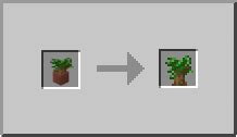 Dark Oak Sapling | How to craft dark oak sapling in Minecraft | Minecraft Wiki