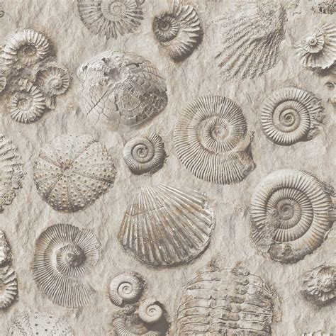 Mural Wallpaper Fossils Muriva J862 - MurivaMuriva