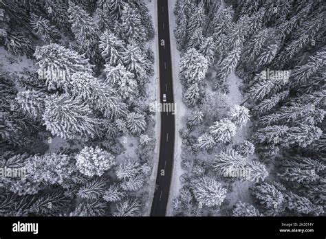 Black Forest in Winter Stock Photo - Alamy