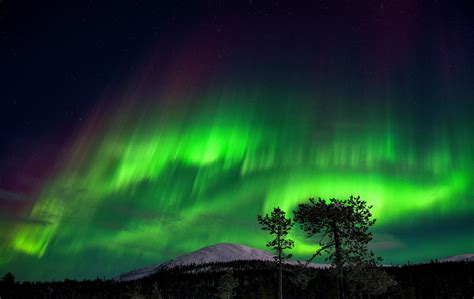 28 stunning images of the Northern Lights - November 20, 2023 | Reuters