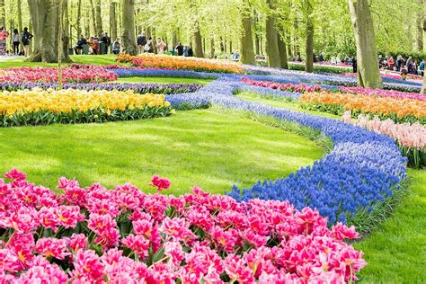 How To Reach Keukenhof Gardens From Amsterdam | Fasci Garden