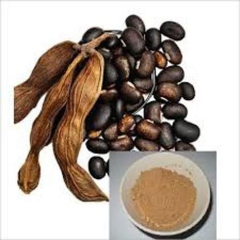 Mucuna Pruriens Powder, Packaging Type: Bowl, Packaging Size: 400 Gm ...