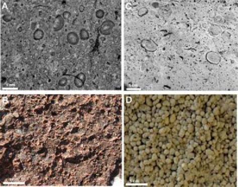 Meteorite Impact Sites Treated To CSI Techniques - Universe Today